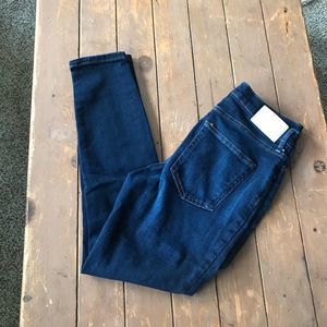Everlane The High Rise Skinny Jeans